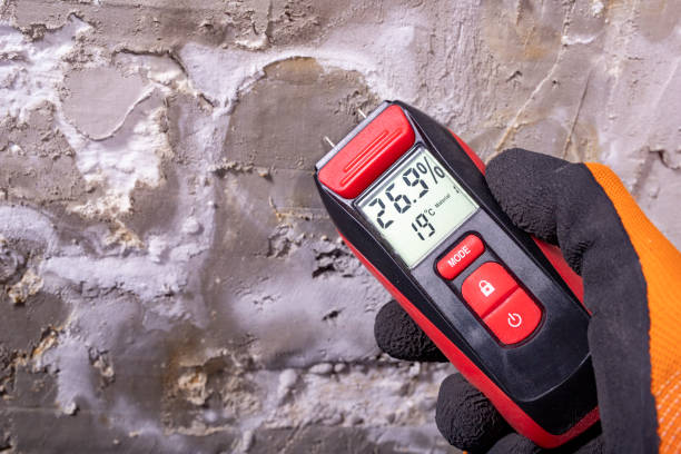 Best Attic Mold Removal  in Cumberland Head, NY